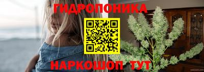 jwh Будённовск