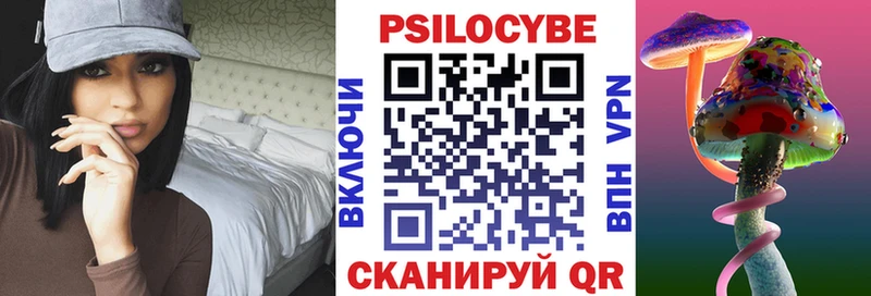 Галлюциногенные грибы Psilocybine cubensis  Волжск 