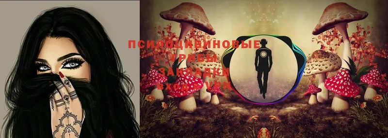 Псилоцибиновые грибы MAGIC MUSHROOMS  Волжск 