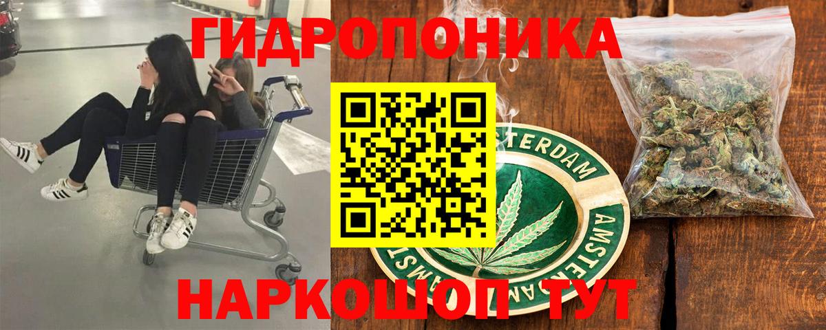 Каннабис индика  МАРИХУАНА ГИДРОПОН  Волжск 